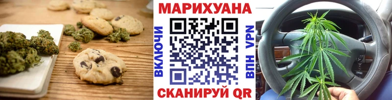 наркошоп  Электрогорск  omg вход  Canna-Cookies конопля 