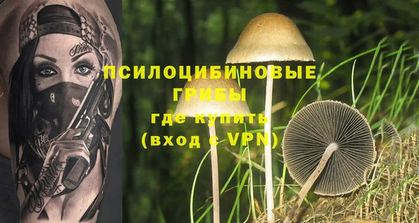 амф Алексин