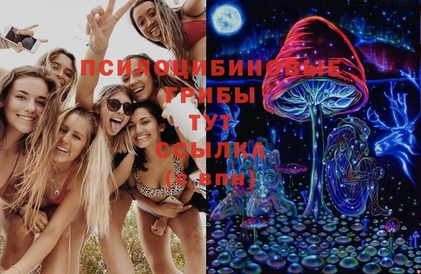 амф Алексин