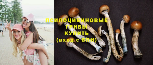 амф Алексин