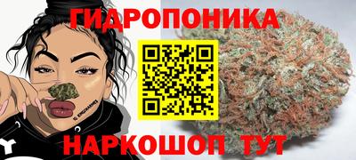 скорость Ливны