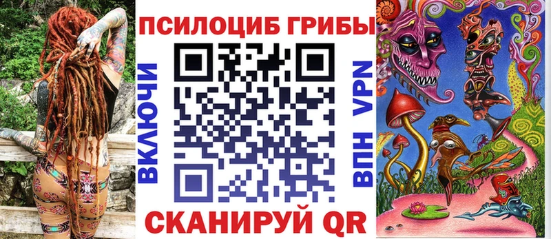 Галлюциногенные грибы MAGIC MUSHROOMS  где купить наркотик  Электрогорск 