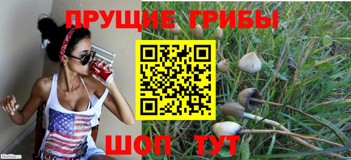 Галлюциногенные грибы GOLDEN TEACHER Электрогорск